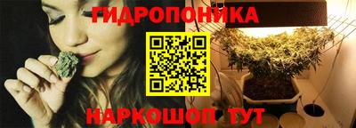 прущие крисы Заволжье